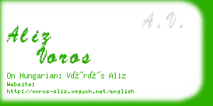 aliz voros business card